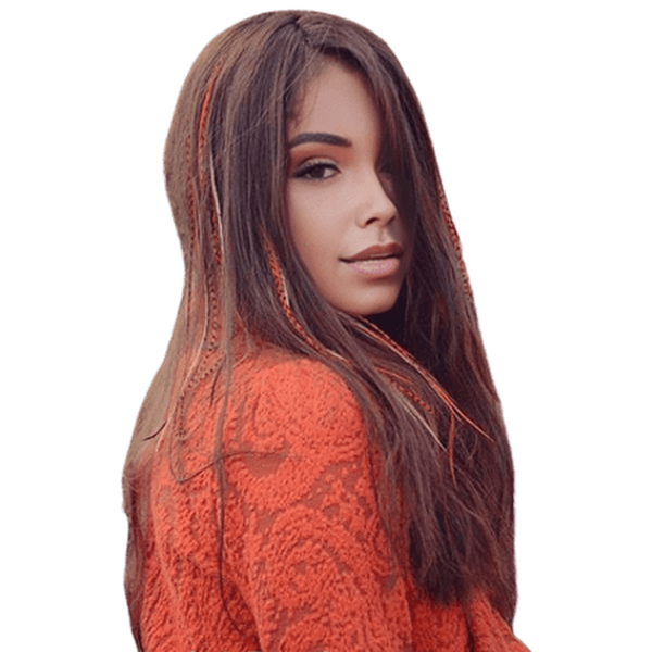 Dream Hair One Clip-In Feather Extensions Synthetic Hair Colour:1599 | gtworld.be