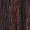 Dream Hair Health & Beauty Schwarz-Mahagony Mix #F1B/33 Dream Hair Ponytail El Futura Debra _ Synthetic Hair