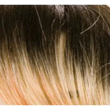 Dream Hair Health & Beauty STP13C Dream Hair Wig Manal Synthetic Hair, Cheveux synthétiques Perücke