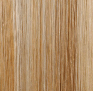 Dream Hair Euro Straight Hair