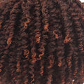 WIG Jamaica Collection Kinky Curly | gtworld.be 