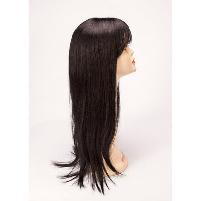 Dream Hair Wig Fashion 100% Human Hair Wig Jane Longer | gtworld.be 