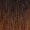 Dream Hair Health & Beauty 14" = 35 cm / Schwarz-Braun Mix Ombré #T1B/30 Dream Hair European Bulk Real Hair