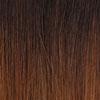 Dream Hair Health & Beauty Dream Hair Braids Exception 40"/101cm 165g Synthetic Hair