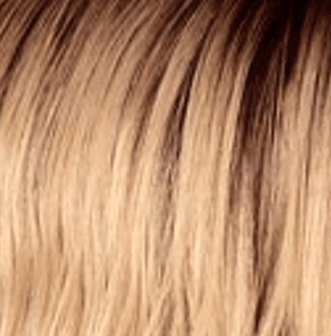 Hair by Sleek TT10/ASH Hair By Sleek 101 Callie Lace Wig Synthetic Hair
