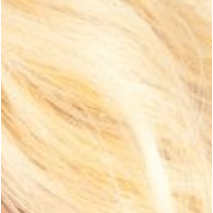 Mane Concept Health & Beauty SR4-GOLDBLOND Mane Concept Brown Sugar Swiss Lace Front Blended Real Hair Wig 206