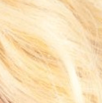 Mane Concept SR4-GOLDBLOND Mane Concept Brown Sugar Swiss Lace Front Blended Echthaar Perücke 206