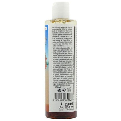 Miss Antilles Repairing Shampoo Palma Christi 250ml